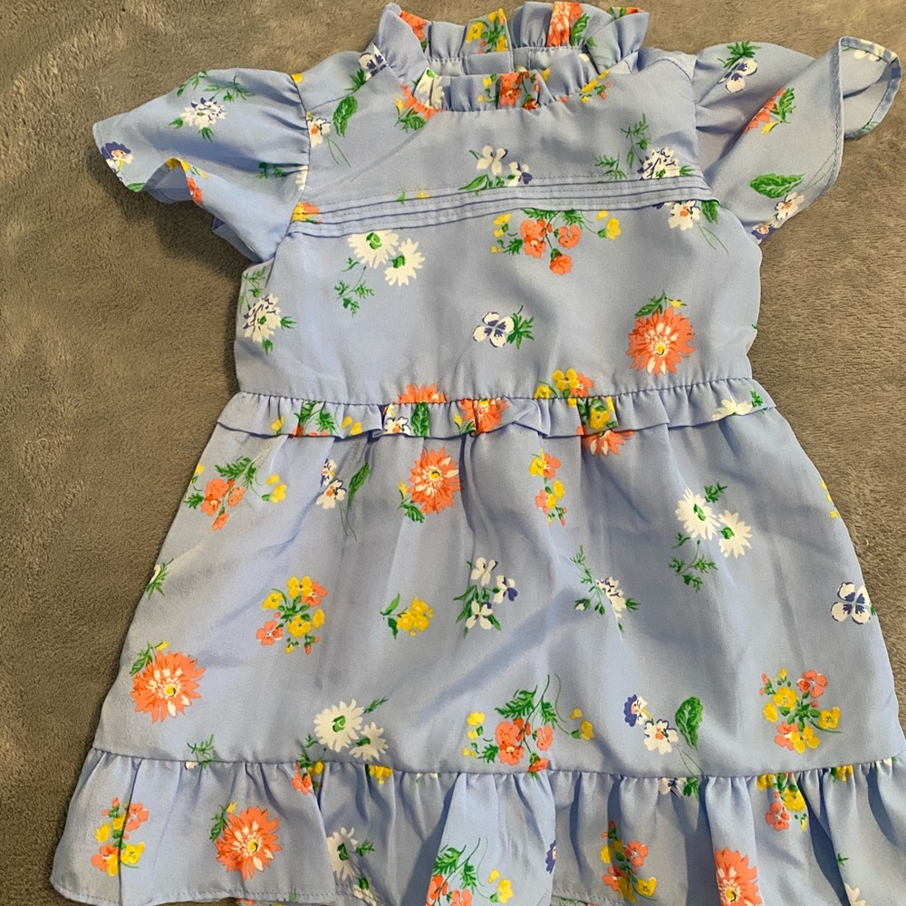 Baby blue and floral short sleeve Janie and Jack dress size 12 to 18 months